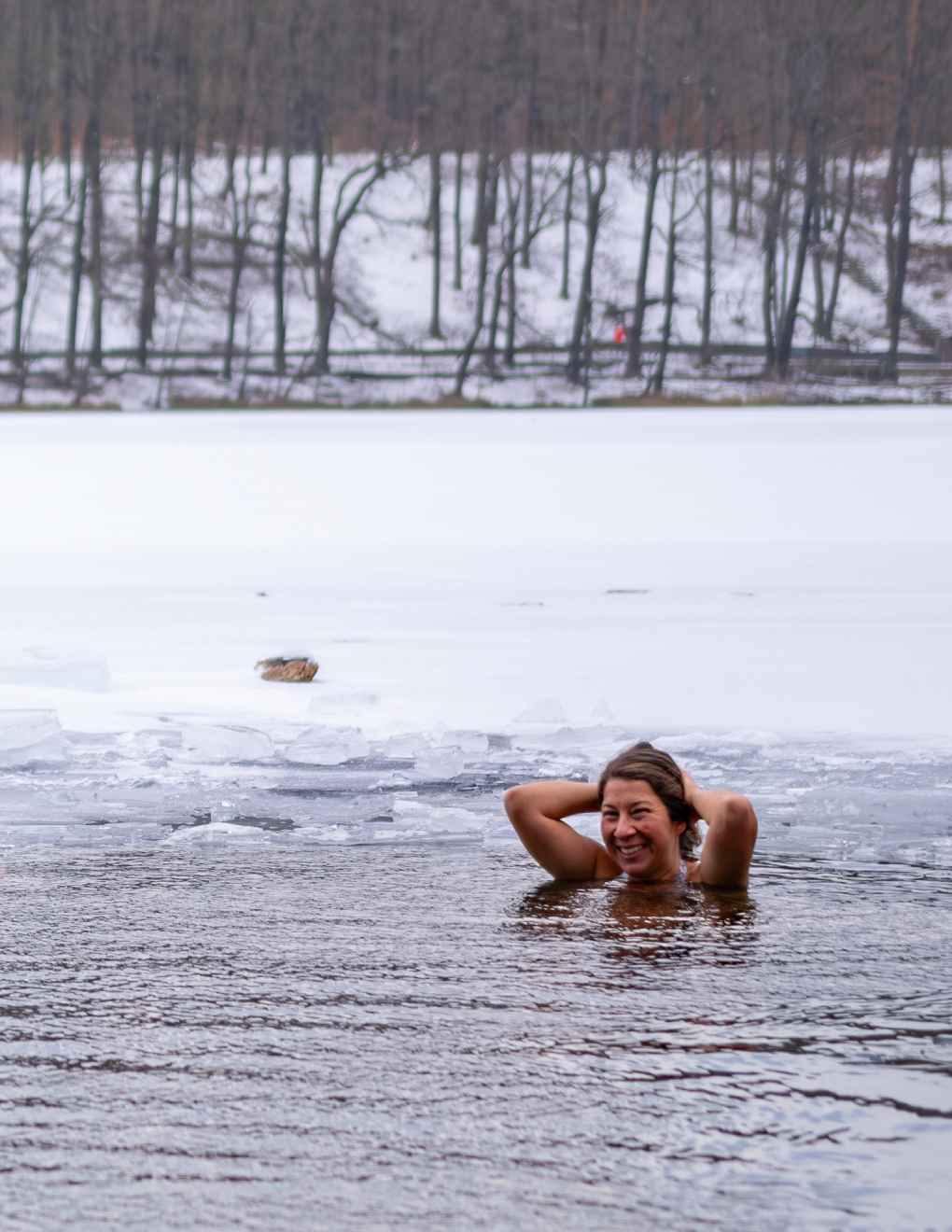 Ice Dippers in Brandenburg lakes